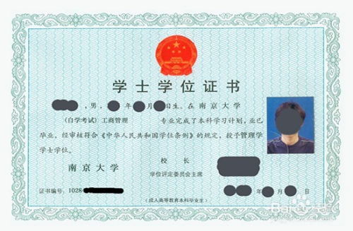 網絡文化經營許可證的辦理全流程解析